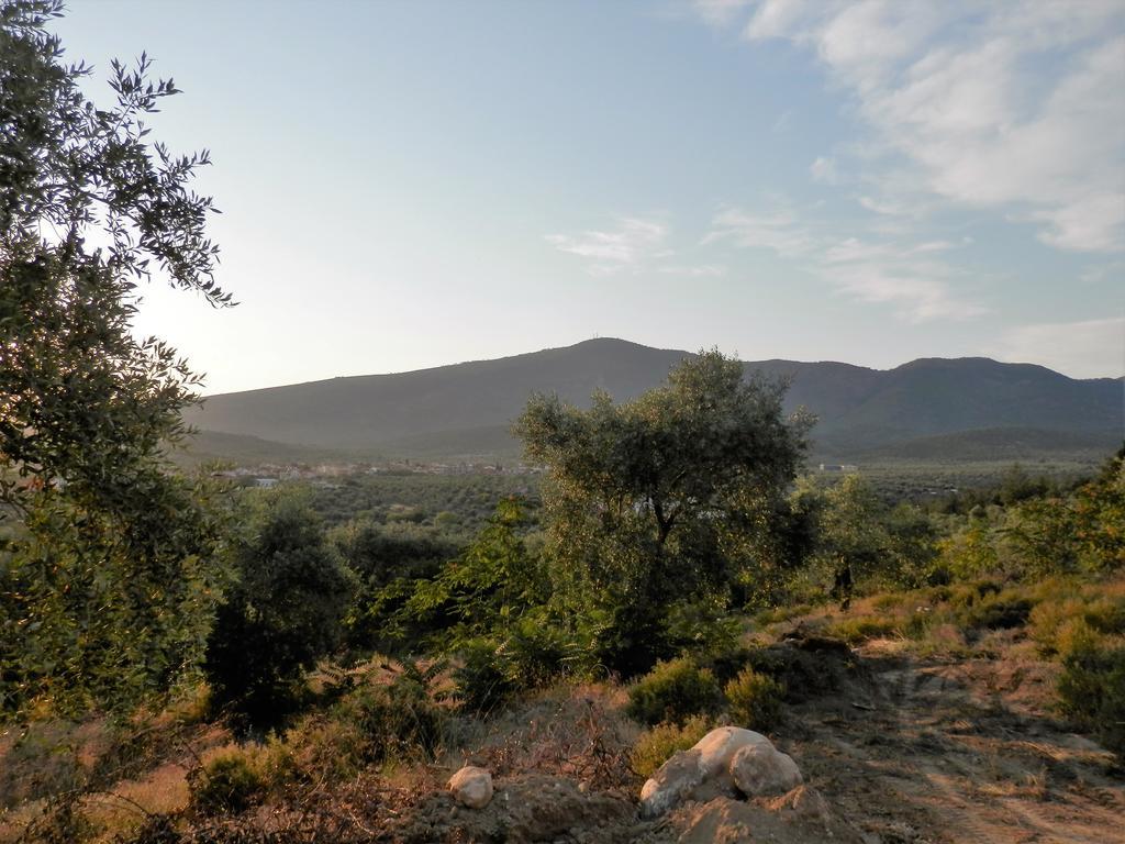 Thea Athos Appartement Limenaria  Buitenkant foto